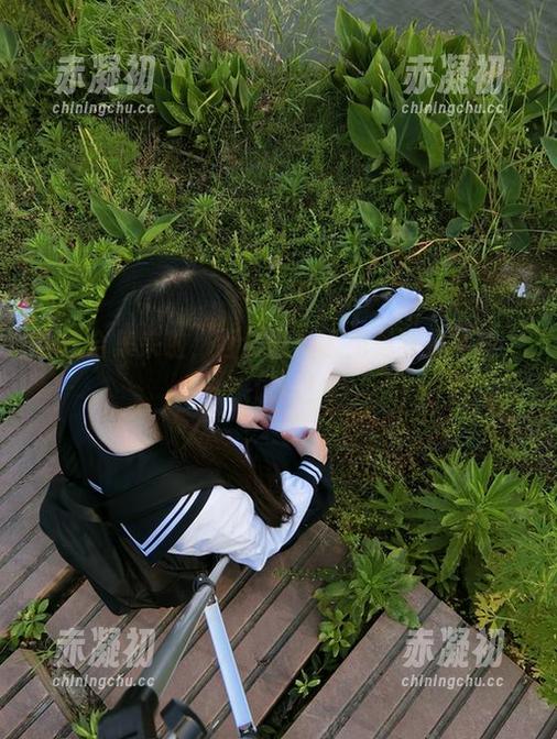 蕾丝合集来啦，西尔酱说了免费就是神策，来试试！