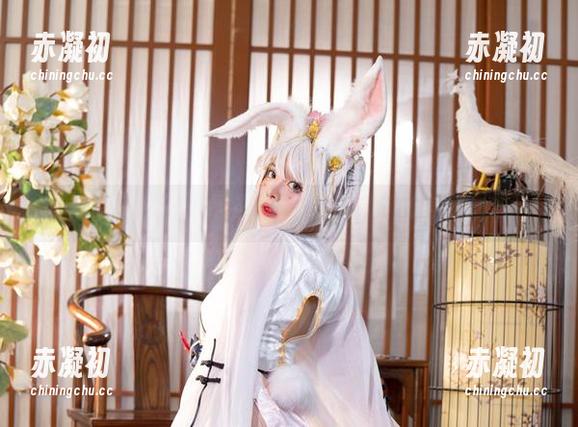 叛忍捕获新手指导，在线看阿寨寨ninja的美图奇遇！